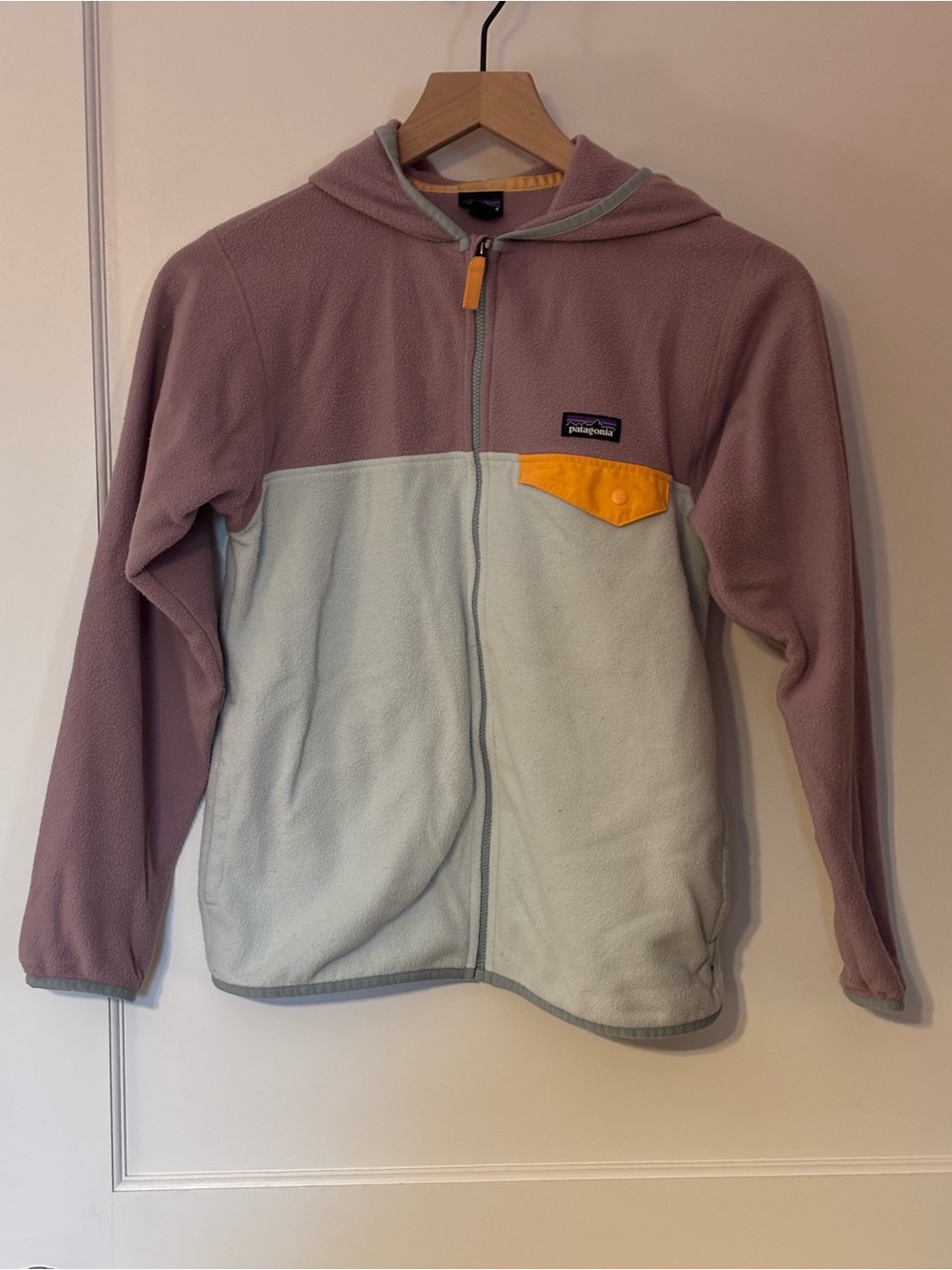 Patagonia Kids Micro-D Fleece Jacket